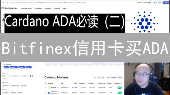 Bitfinex信用卡买ADA？先别急，这有你必须知道的坑！