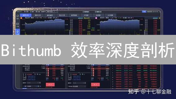 Bithumb 效率深度剖析：速度、服务与未来趋势