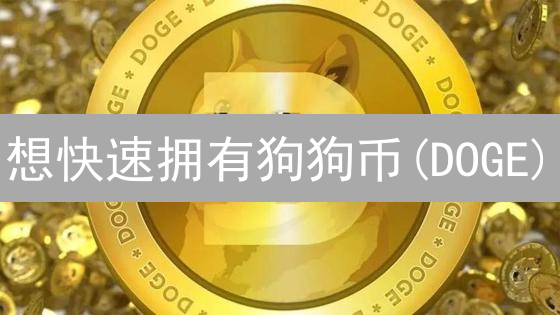想快速拥有狗狗币(DOGE)？3招教你轻松购买！速看！