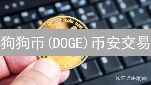 狗狗币(DOGE)币安交易：还能赚钱吗？深度剖析！
