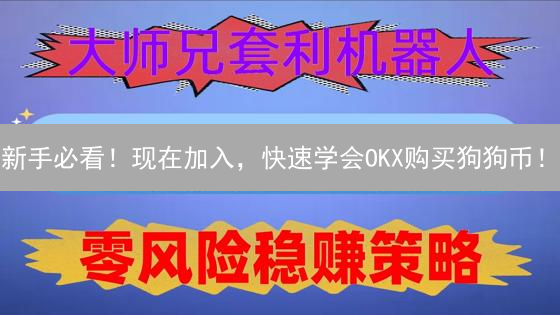 新手必看！现在加入，快速学会OKX购买狗狗币！